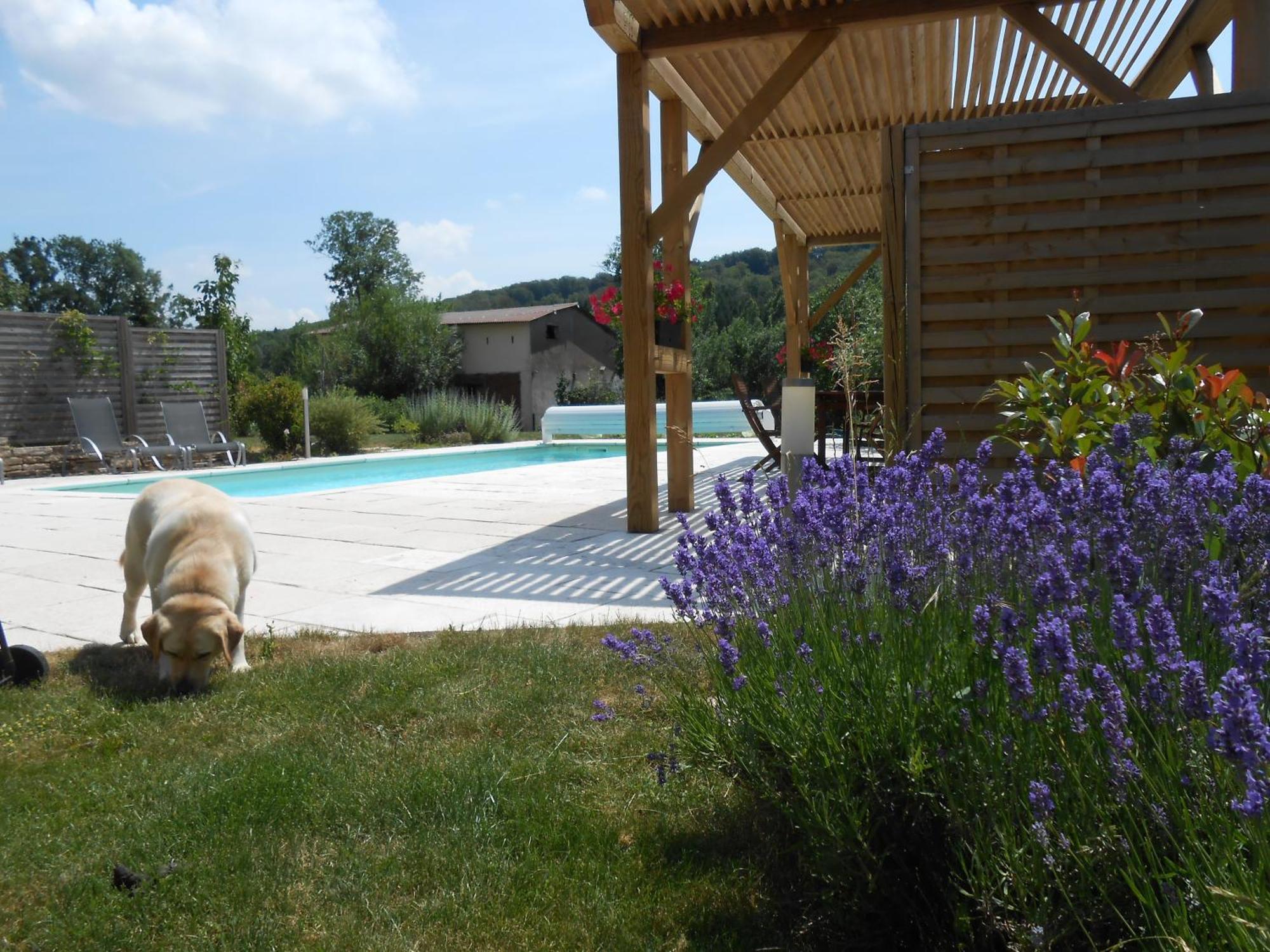 Les Grands Pres Bed & Breakfast Geney Luaran gambar